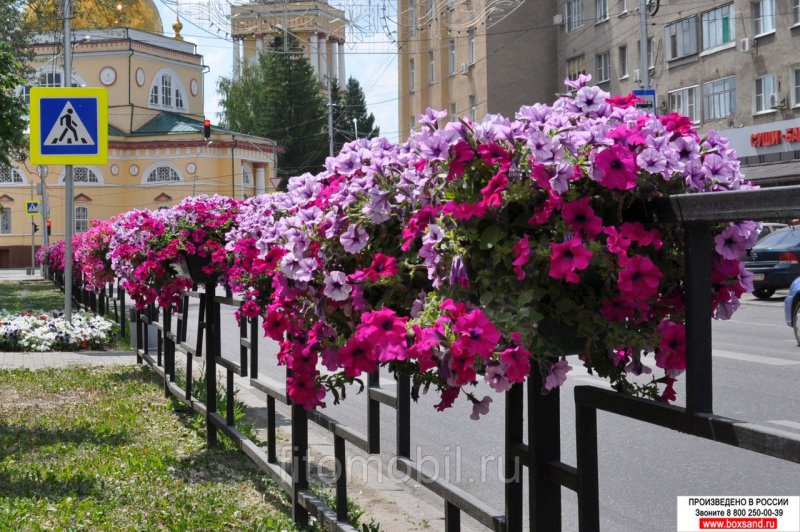 Вазоны для вертикального озеленения