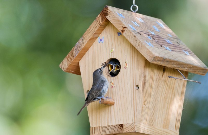 Скворечник Bird дачный 23х32х22см