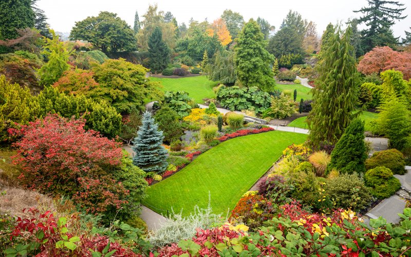 Канада сады Queen Elizabeth Garden Ванкувер