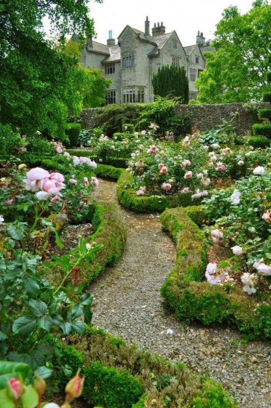 Коттеджный сад (Cottage Garden)