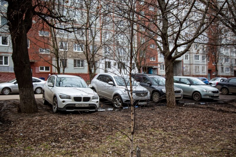 Паркуется на газоне