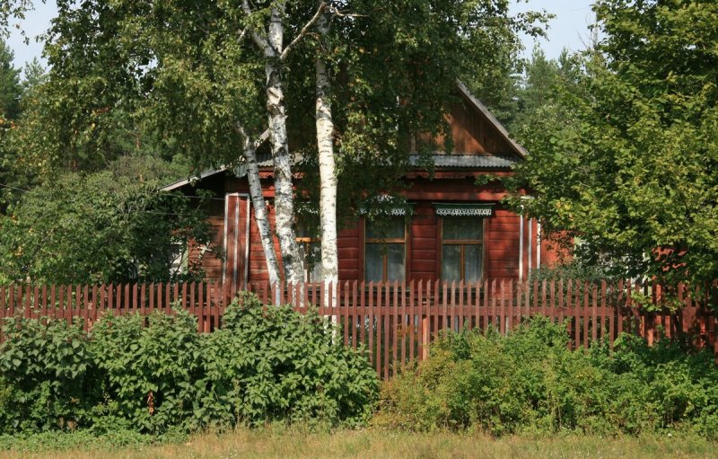 Домик с березой
