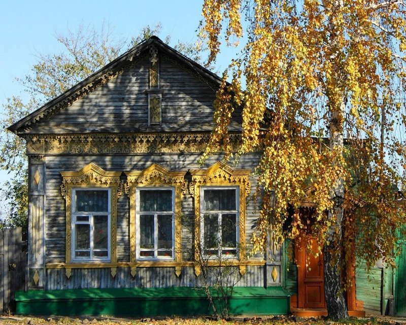 Береза у дома