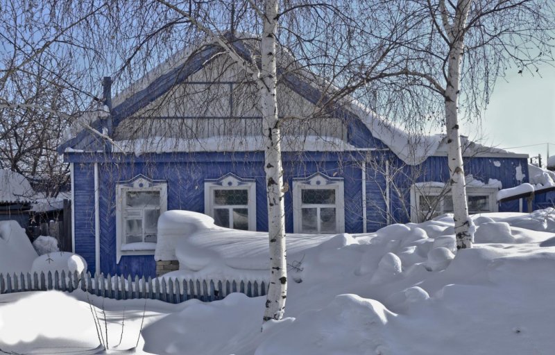 Зима береза дом