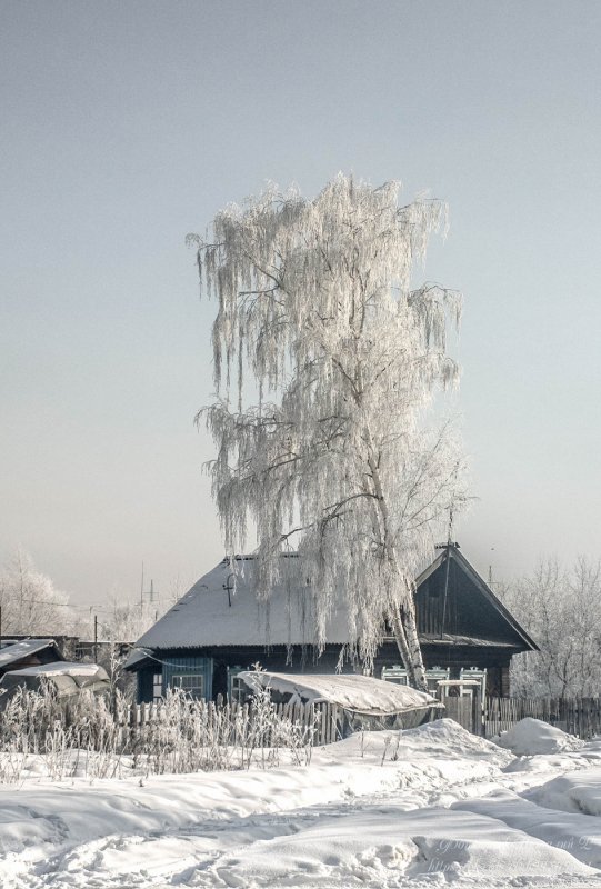 Русская зима в деревне