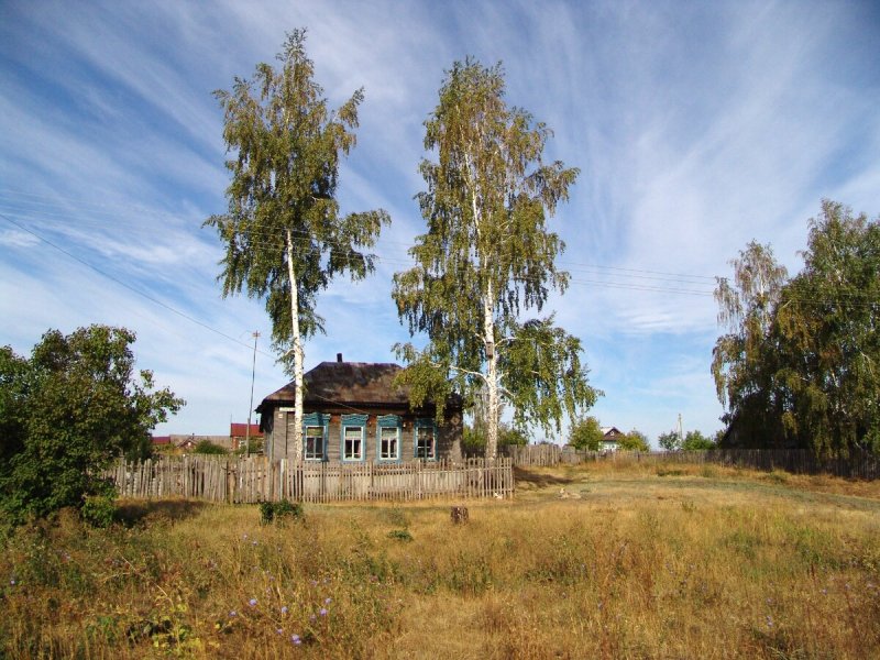 Берёзки домик деревня