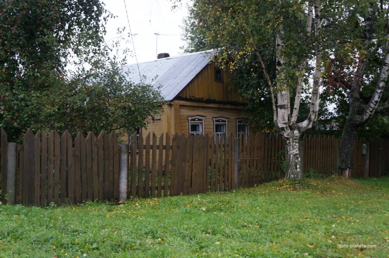 Березы в деревенском палисаднике