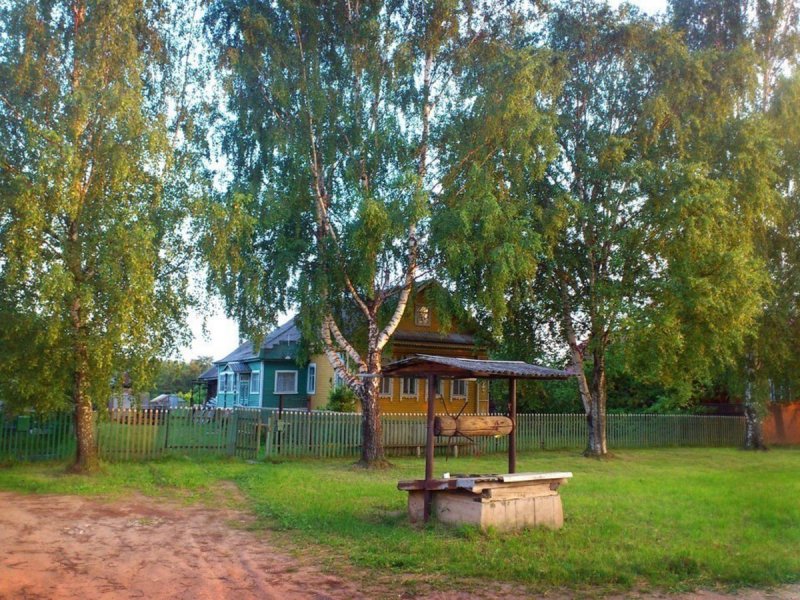 Деревенский дом с березой