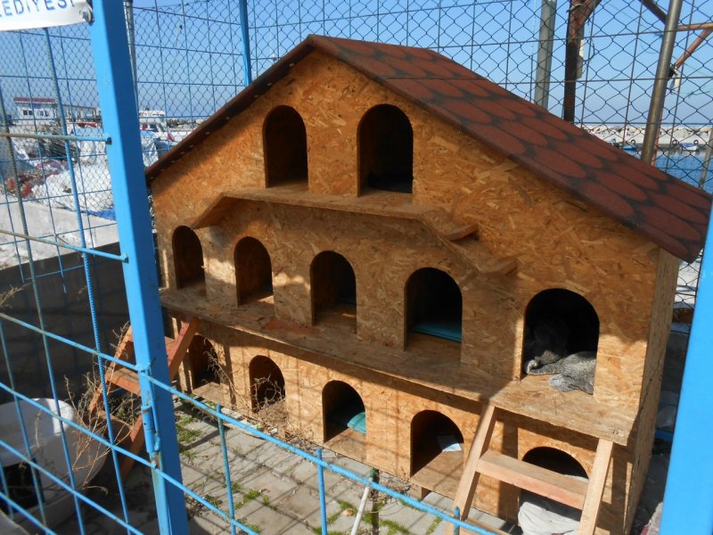 Домик для кошки на улице своими руками