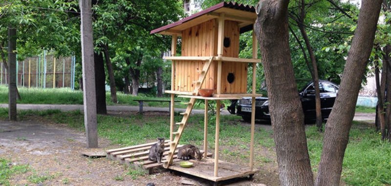 Домик для кошки на улице