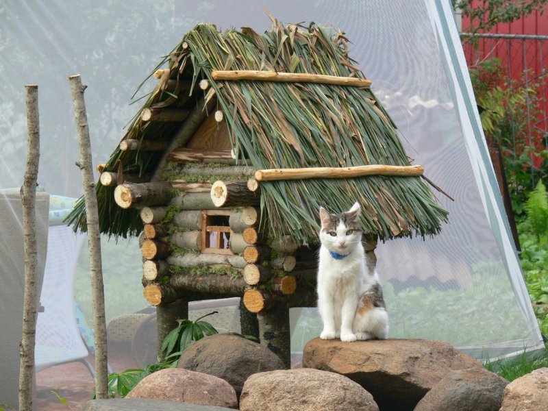 Уличный сказочный домик для кошки