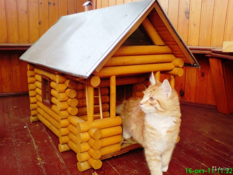Бревенчатый домик для кота