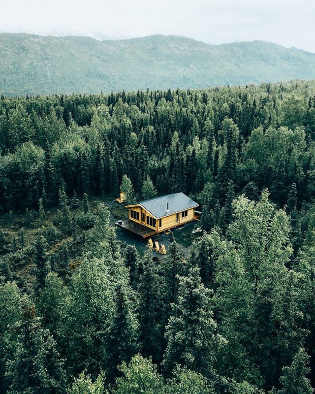 Дом посреди леса