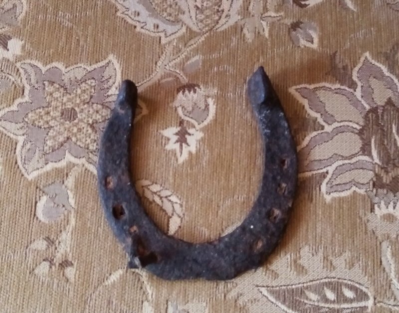 Подкова в руке