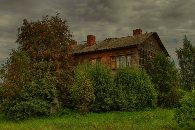 Деревенский домик с калиткой