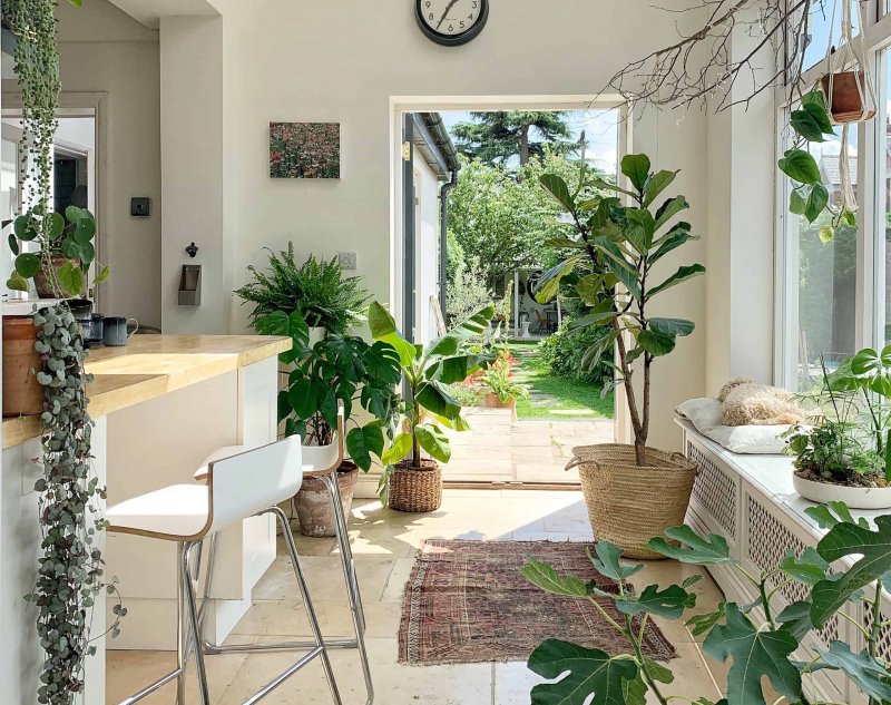House for Plants