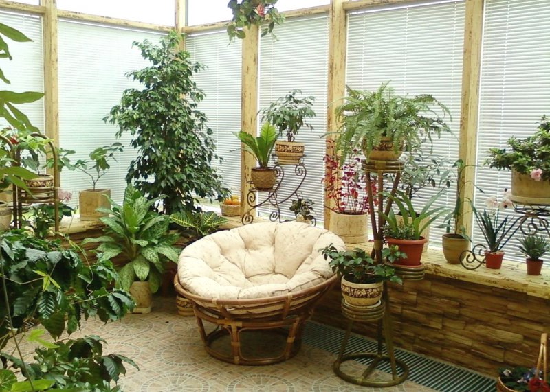 Phytodesign зимний сад
