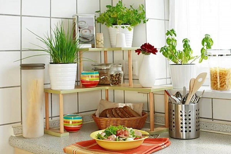 Оригинальные вещи для кухни