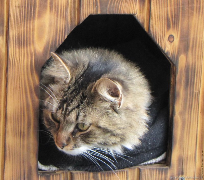 Конура для кошки