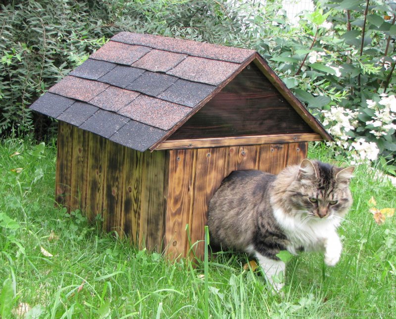 Уличный домик для котика
