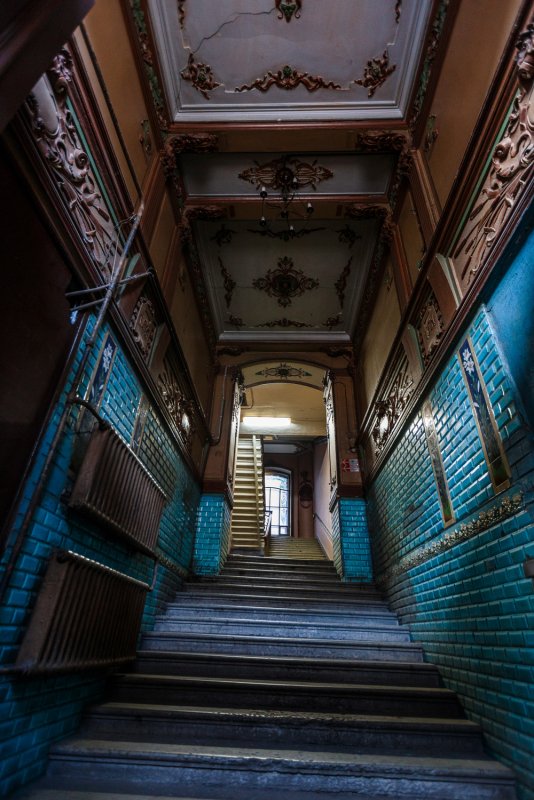 Парадная Ромашка ул. Ломоносова, 14