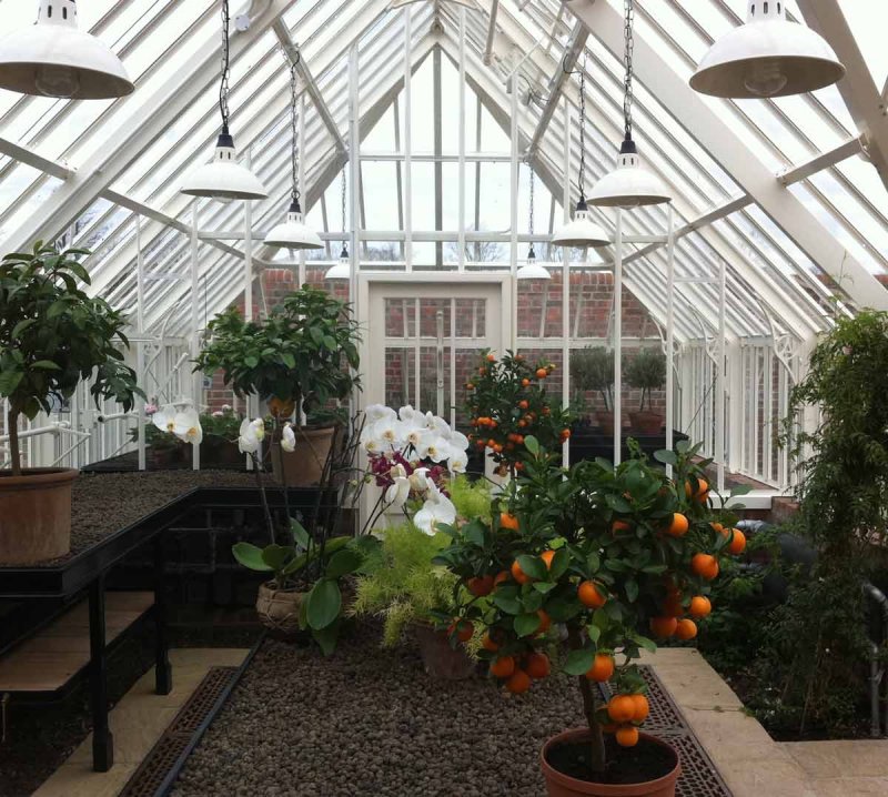 Оранжереи seawater Greenhouse Project