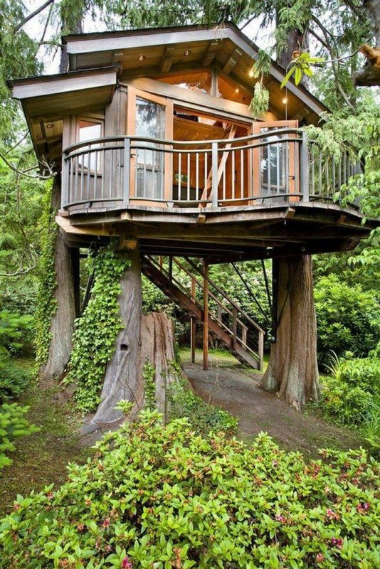 Treehouse домик на дереве