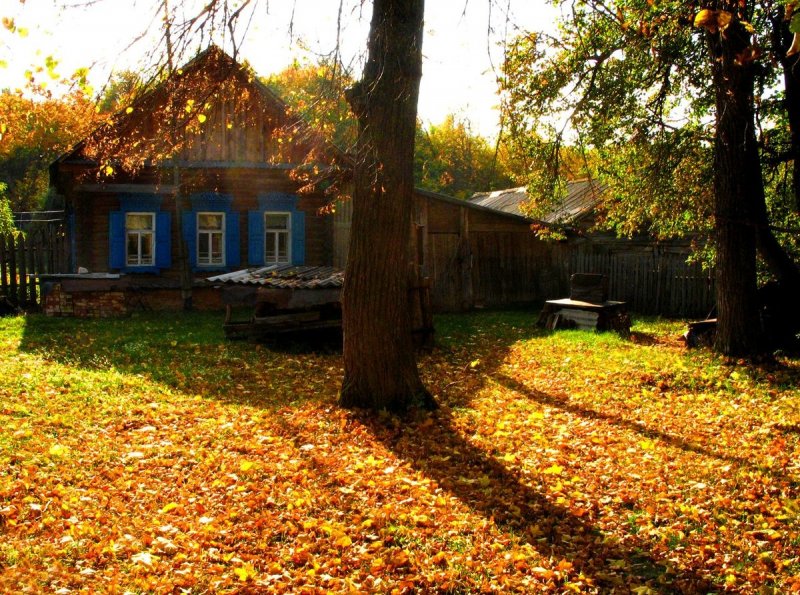 Осень старый дом