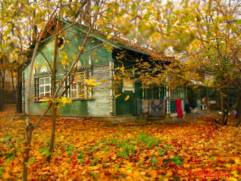 Домик в осеннем саду