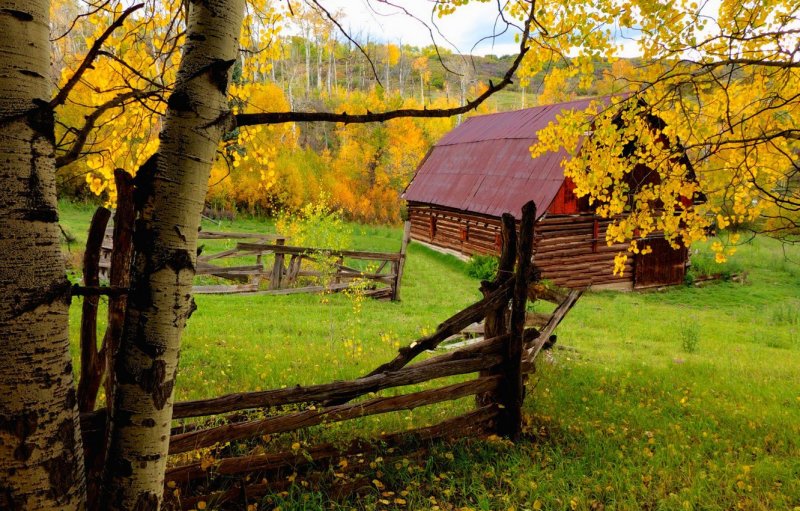 Осенний пейзаж в деревне