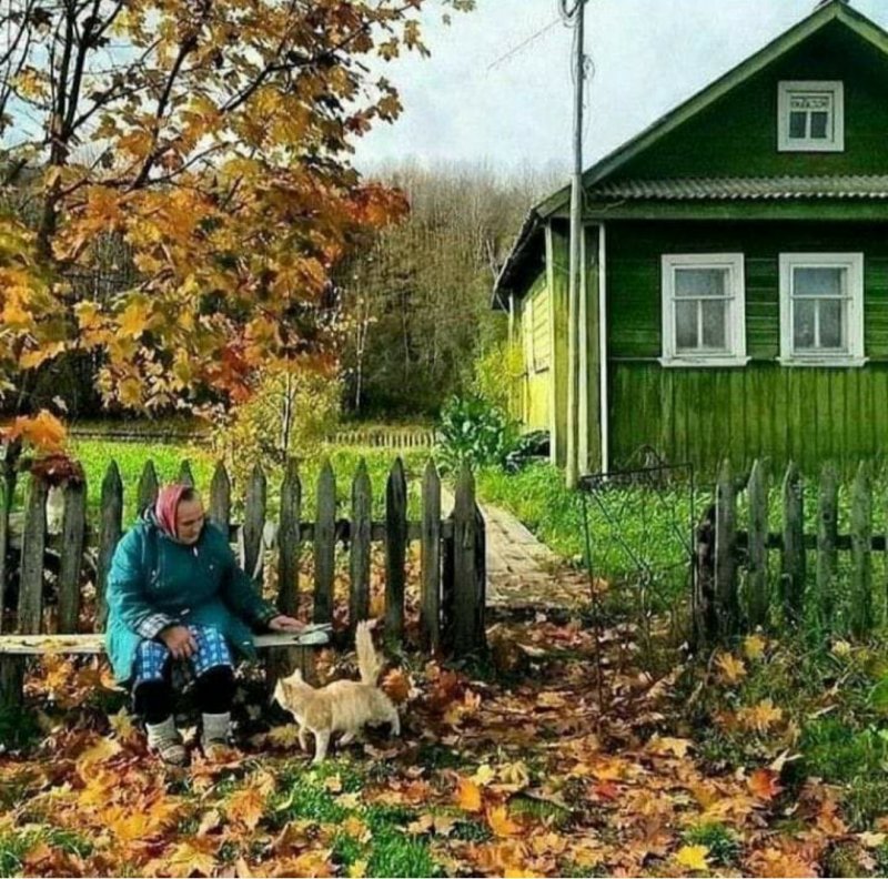 Деревенский домик осень