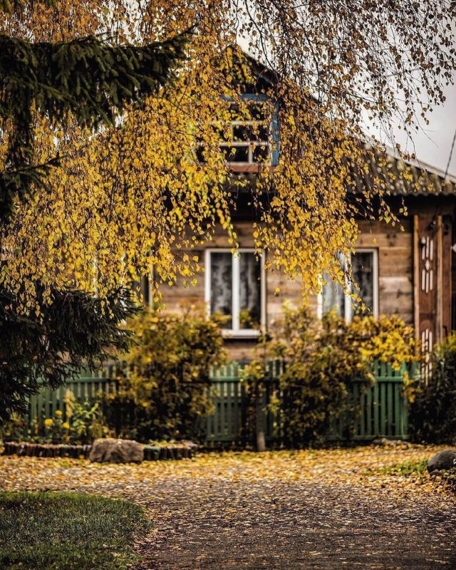 Деревенский домик осень