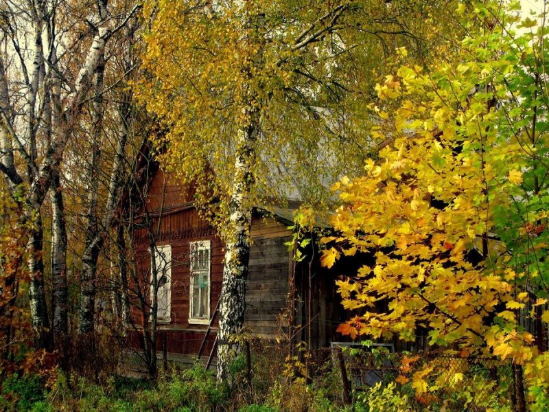 Осень в деревне