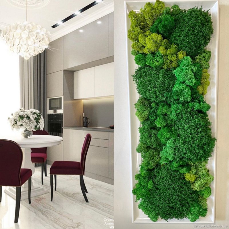 Green Room мох