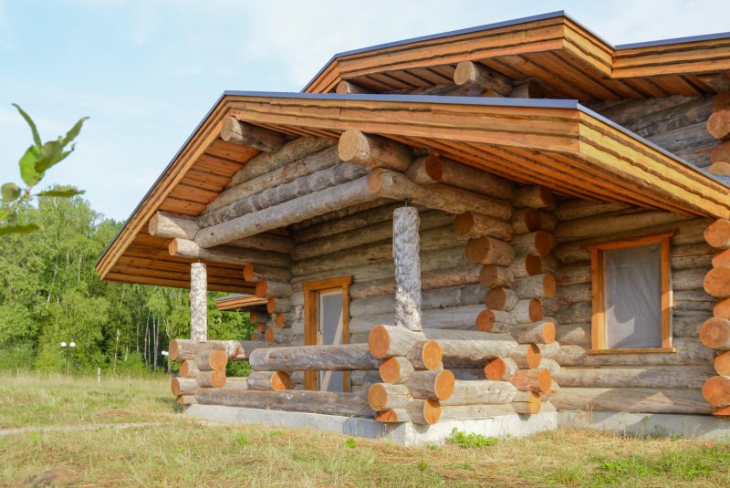 Карельская сосна кело
