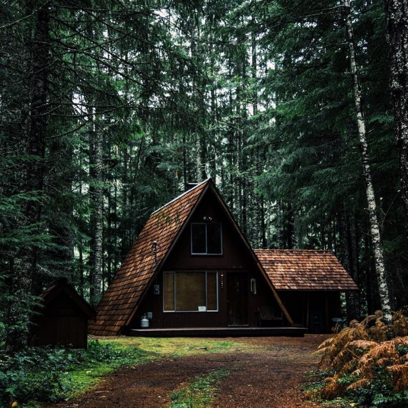 In the Cabin Woods Хижина в лесу Cabin