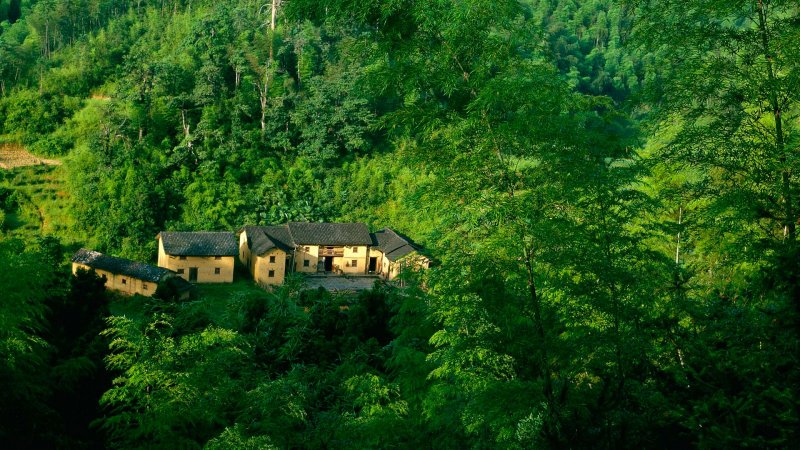 Green Wood House Гиссар