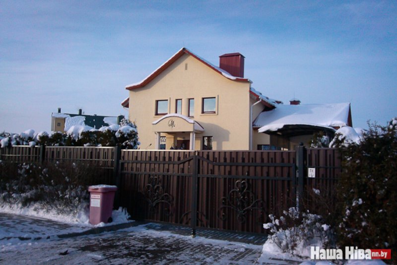 Дрозды Ермошина
