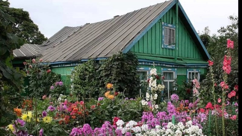 Деревенский дом в цветах