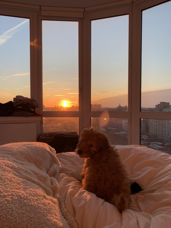 Утреннее окно