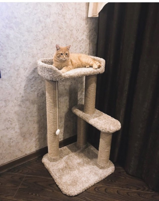Стойка для кошек