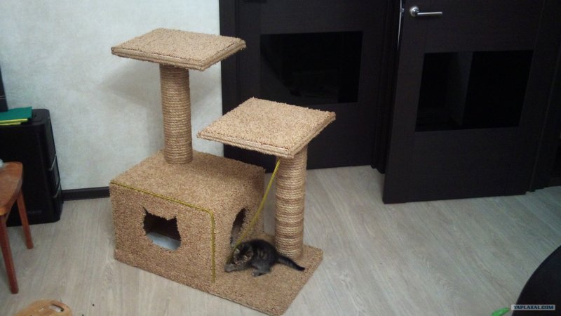 Самодельные кошачьи домики