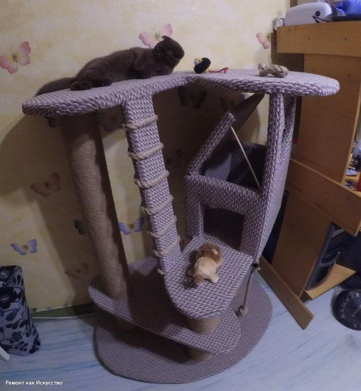 Домик для кошки лайфхак