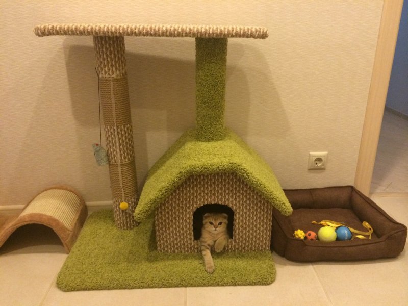 Домик для кошек