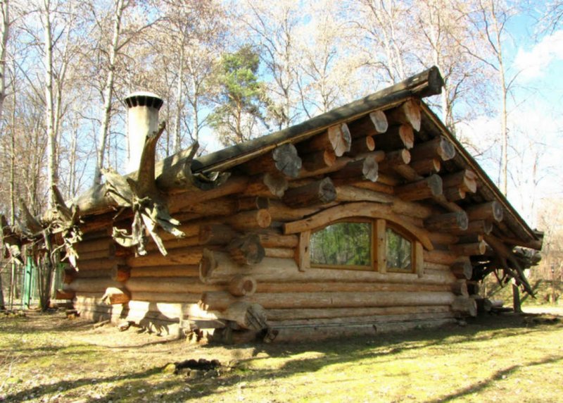 Дикий сруб