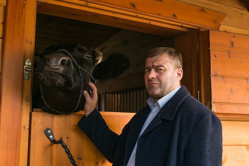 Михаил Пореченков мост