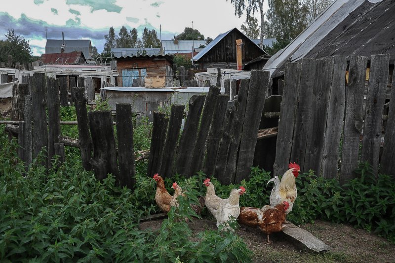 Деревенский домик с огородом