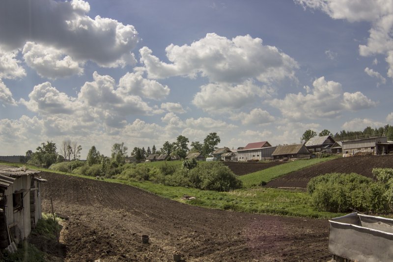 Грядки в деревне