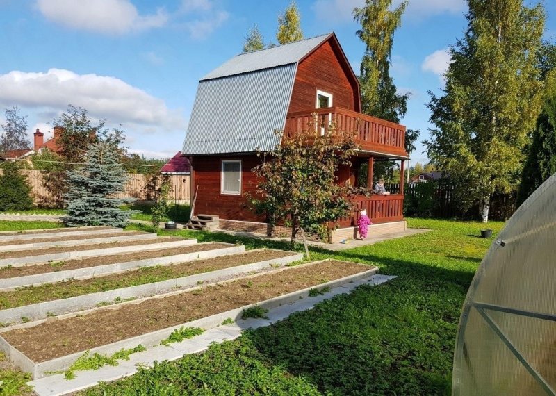 Дачный участок с домиком