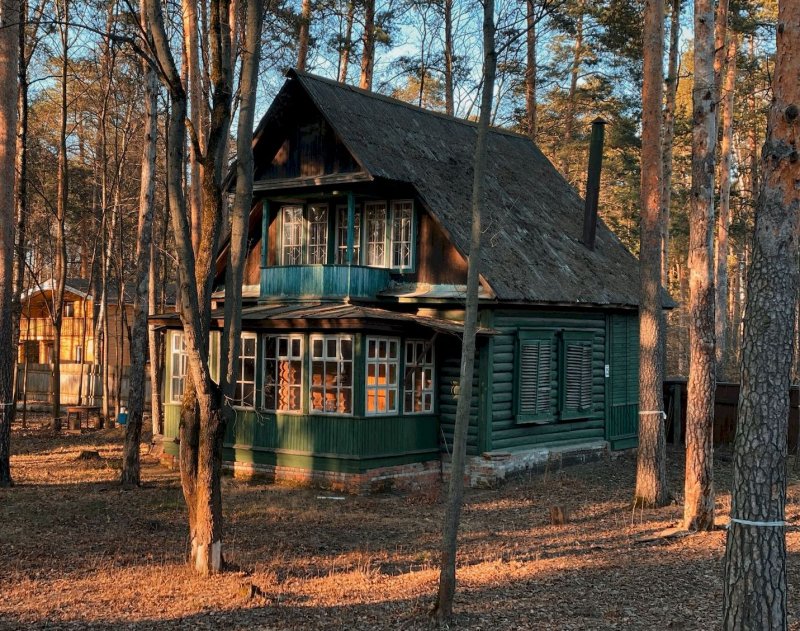 Кратовские дачи в фотопроекте Федора Савинцева